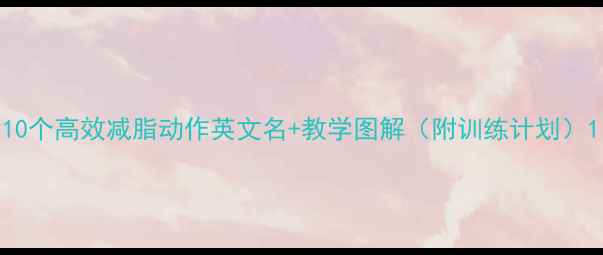 图片 10个高效减脂动作英文名+教学图解（附训练计划）1