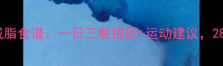 图片 1300大卡科学减脂食谱：一日三餐搭配+运动建议，28天健康瘦10斤2