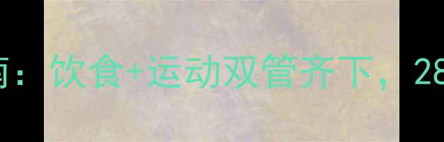 图片 15天健康减脂指南：饮食+运动双管齐下，28天不反弹甩肉法2