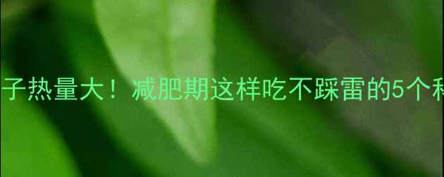 图片 200g肉粽子热量大！减肥期这样吃不踩雷的5个科学建议2
