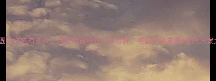 图片 20颗桂圆肉热量有多少？减肥期这样吃才不会胖！桂圆干热量表+替代方案大公开2