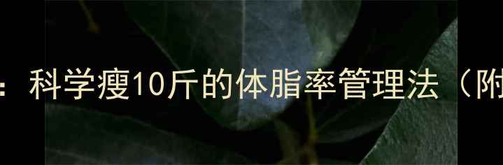 图片 28天健康减脂计划：科学瘦10斤的体脂率管理法（附食谱+运动指南）2