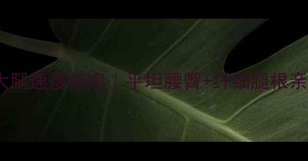 图片 28天小腹大腿速瘦指南｜平坦腰臀+纤细腿根亲测有效！2