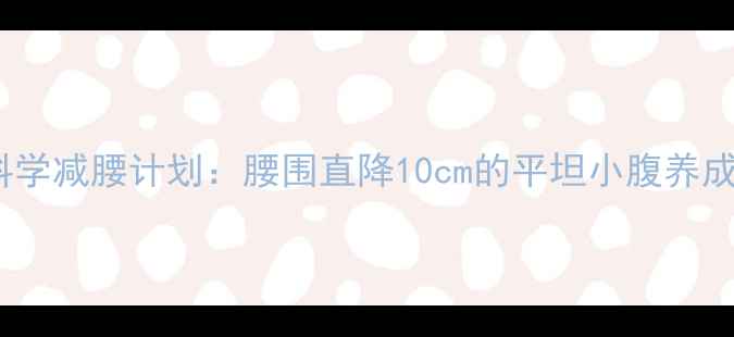 图片 28天科学减腰计划：腰围直降10cm的平坦小腹养成指南2