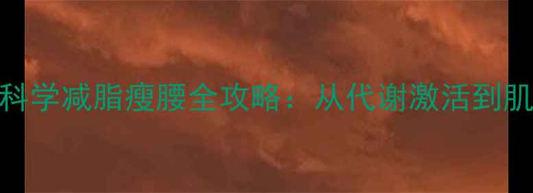 图片 28天腰围直降8cm！科学减脂瘦腰全攻略：从代谢激活到肌肉雕刻的完整方案1