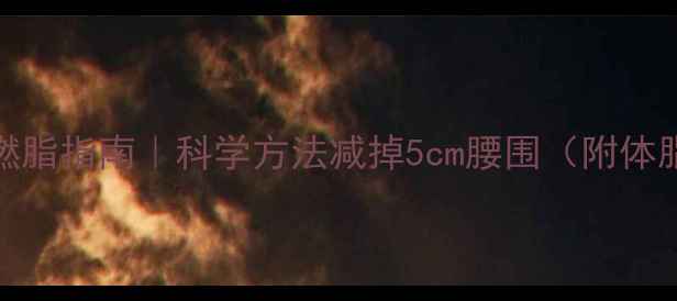 图片 28天高效体脂燃脂指南｜科学方法减掉5cm腰围（附体脂秤使用攻略）