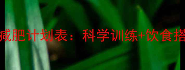 图片 30天健身房高效减肥计划表：科学训练+饮食搭配，新手必看！