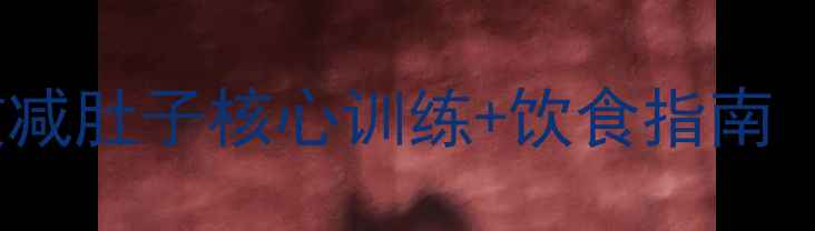 图片 30天平腹计划｜在家高效减肚子核心训练+饮食指南（附具体动作+饮食方案）