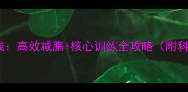 图片 30天打造马甲线：高效减脂+核心训练全攻略（附科学饮食方案）1
