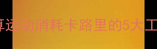 图片 30天科学减脂计划：精准计算运动消耗卡路里的5大工具与公式（附免费计算器）1