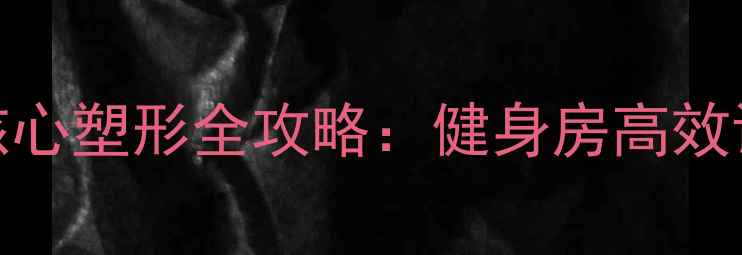 图片 30天腰腹减脂+核心塑形全攻略：健身房高效训练与饮食方案2