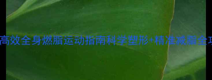 图片 30天高效全身燃脂运动指南科学塑形+精准减脂全攻略2