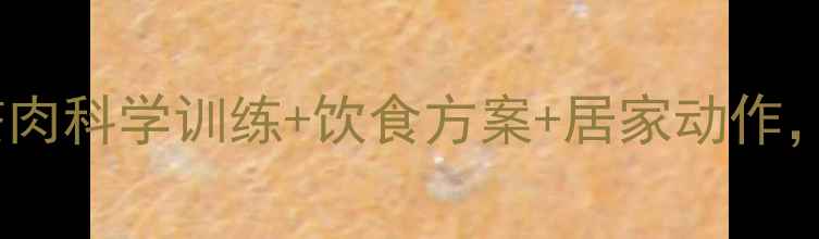 图片 30天高效减肚子赘肉科学训练+饮食方案+居家动作，告别顽固小肚腩1