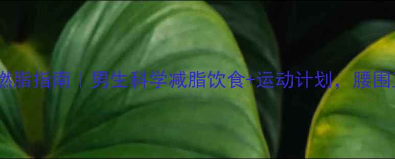 图片 30天高效燃脂指南｜男生科学减脂饮食+运动计划，腰围直降15cm2