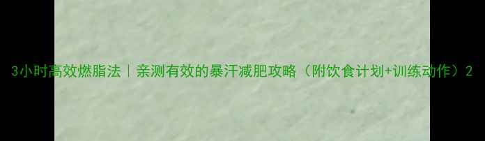 图片 3小时高效燃脂法｜亲测有效的暴汗减肥攻略（附饮食计划+训练动作）2
