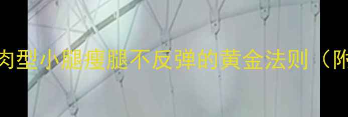 图片 3步科学攻略：肌肉型小腿瘦腿不反弹的黄金法则（附详细训练图解）1