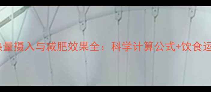 图片 54千卡热量摄入与减肥效果全：科学计算公式+饮食运动方案2