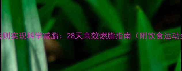 图片 5大核心法则实现科学减脂：28天高效燃脂指南（附饮食运动全攻略）2