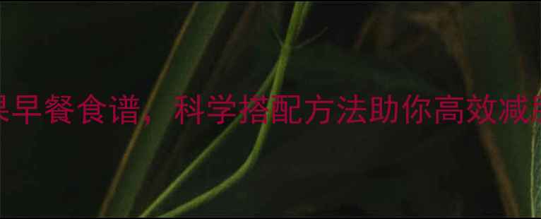 图片 5种低卡高蛋白水果早餐食谱，科学搭配方法助你高效减脂（附详细清单）2