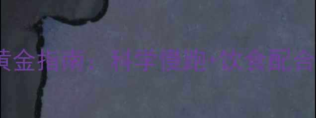 图片 7天瘦大腿黄金指南：科学慢跑+饮食配合的详细教程