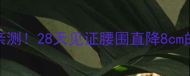 图片 T25减脂效果亲测！28天见证腰围直降8cm的硬核训练法1