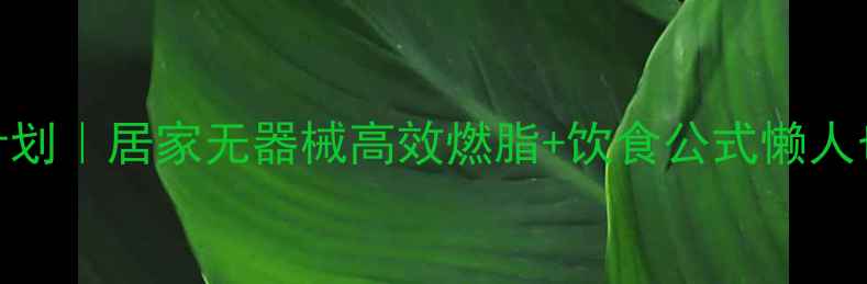 图片 ✨男生30天瘦腿计划｜居家无器械高效燃脂+饮食公式懒人也能get漫画腿✨2