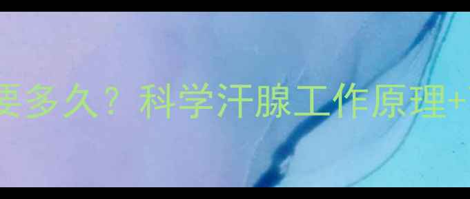 图片 ✨运动健身后消汗要多久？科学汗腺工作原理+高效减肥指南🔥💦1