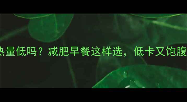图片 一片全麦面包热量低吗？减肥早餐这样选，低卡又饱腹！附自测食谱2