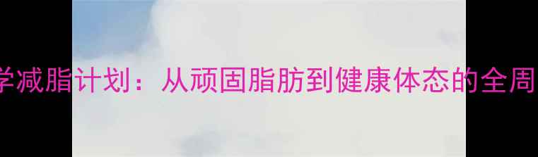 图片 上海90天科学减脂计划：从顽固脂肪到健康体态的全周期蜕变指南1