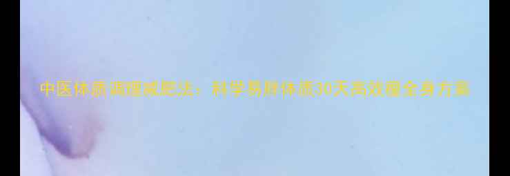 图片 中医体质调理减肥法：科学易胖体质30天高效瘦全身方案