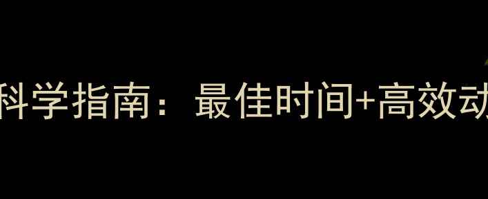 图片 中午运动减肥的科学指南：最佳时间+高效动作+饮食搭配全1