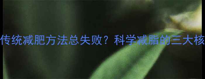 图片 为什么传统减肥方法总失败？科学减脂的三大核心法则