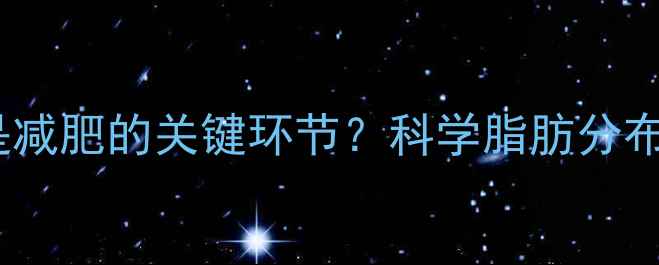 图片 为什么说瘦腿提臀是减肥的关键环节？科学脂肪分布与肌肉训练的关系1