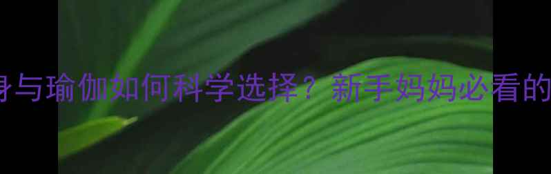 图片 产后减肥：健身与瑜伽如何科学选择？新手妈妈必看的黄金恢复指南1