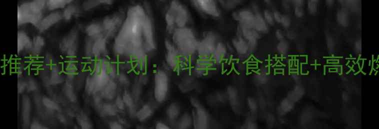 图片 健康减肥食物推荐+运动计划：科学饮食搭配+高效燃脂训练指南2