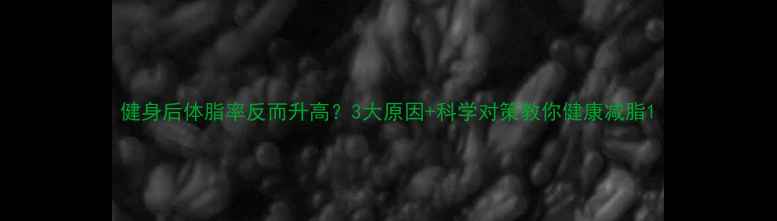 图片 健身后体脂率反而升高？3大原因+科学对策教你健康减脂1