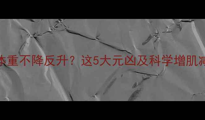 图片 健身后体重不降反升？这5大元凶及科学增肌减脂方案