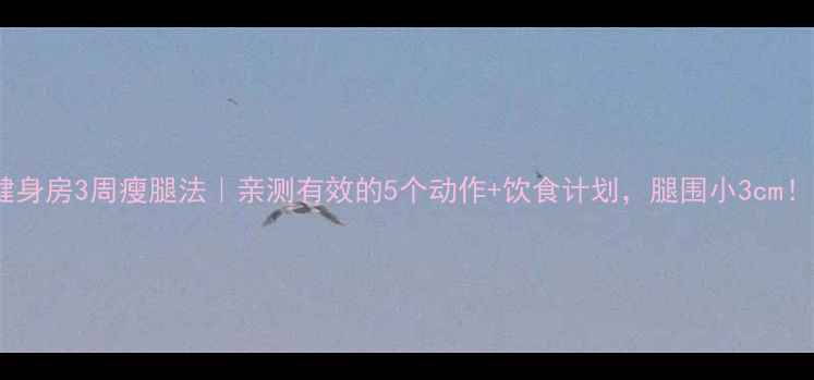 图片 健身房3周瘦腿法｜亲测有效的5个动作+饮食计划，腿围小3cm！2