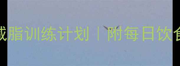 图片 健身教练私教级30天高效减脂训练计划｜附每日饮食表+动作（附对比案例）1