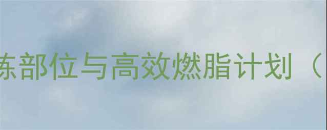 图片 健身绳减肥必练部位与高效燃脂计划（附训练指南）1