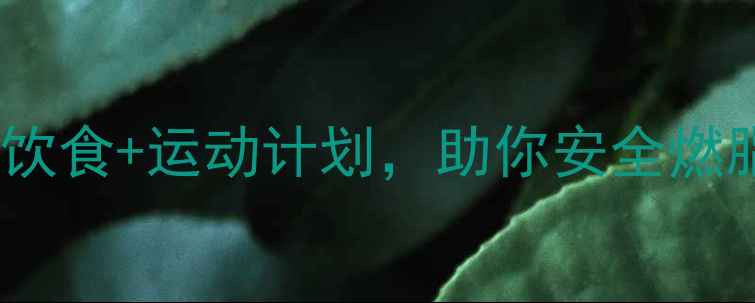 图片 冬天健康瘦身高效指南：科学饮食+运动计划，助你安全燃脂不反弹（附12周执行方案）2