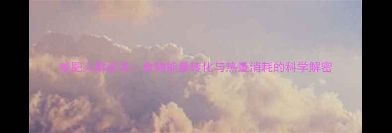 图片 减肥人群必读：食物能量转化与热量消耗的科学解密