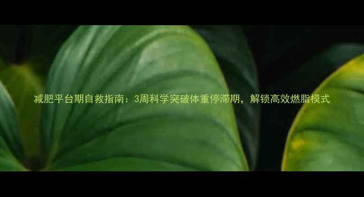 图片 减肥平台期自救指南：3周科学突破体重停滞期，解锁高效燃脂模式