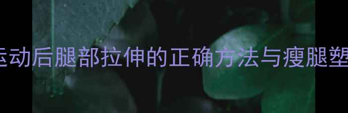图片 减肥必看运动后腿部拉伸的正确方法与瘦腿塑形全攻略1