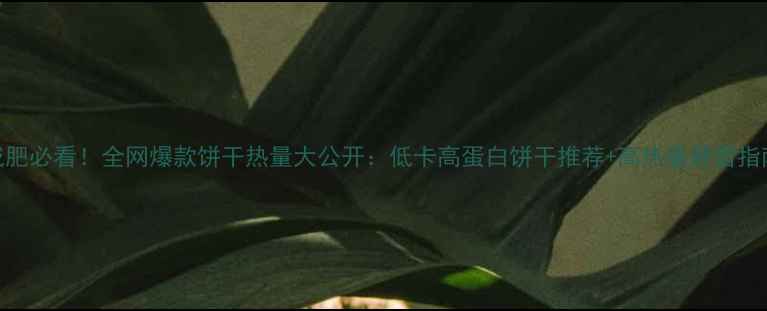 图片 减肥必看！全网爆款饼干热量大公开：低卡高蛋白饼干推荐+高热量避雷指南