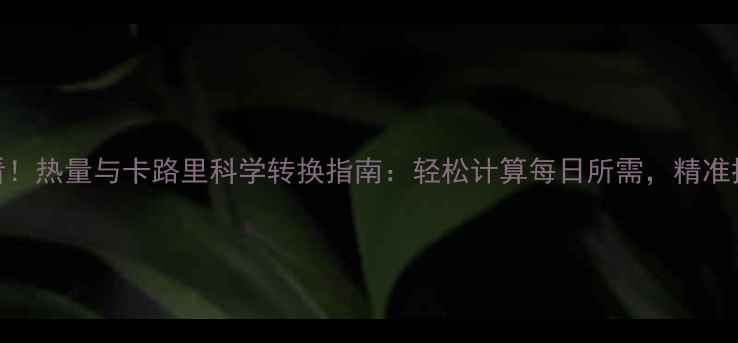 图片 减肥必看！热量与卡路里科学转换指南：轻松计算每日所需，精准控制饮食