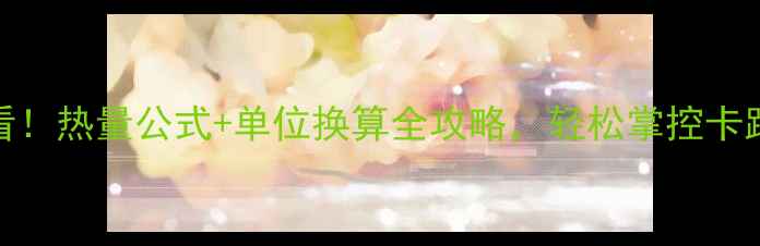 图片 减肥必看！热量公式+单位换算全攻略，轻松掌控卡路里消耗