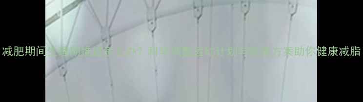 图片 减肥期间生理期推迟怎么办？科学调整运动计划与饮食方案助你健康减脂