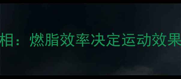 图片 减肥运动科学真相：燃脂效率决定运动效果（：减肥效率）