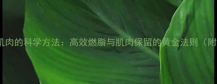图片 减脂不流失肌肉的科学方法：高效燃脂与肌肉保留的黄金法则（附训练计划）1